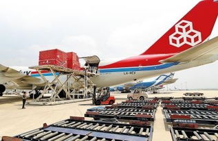 温州机场T1航空货运与国内货运代理全攻略